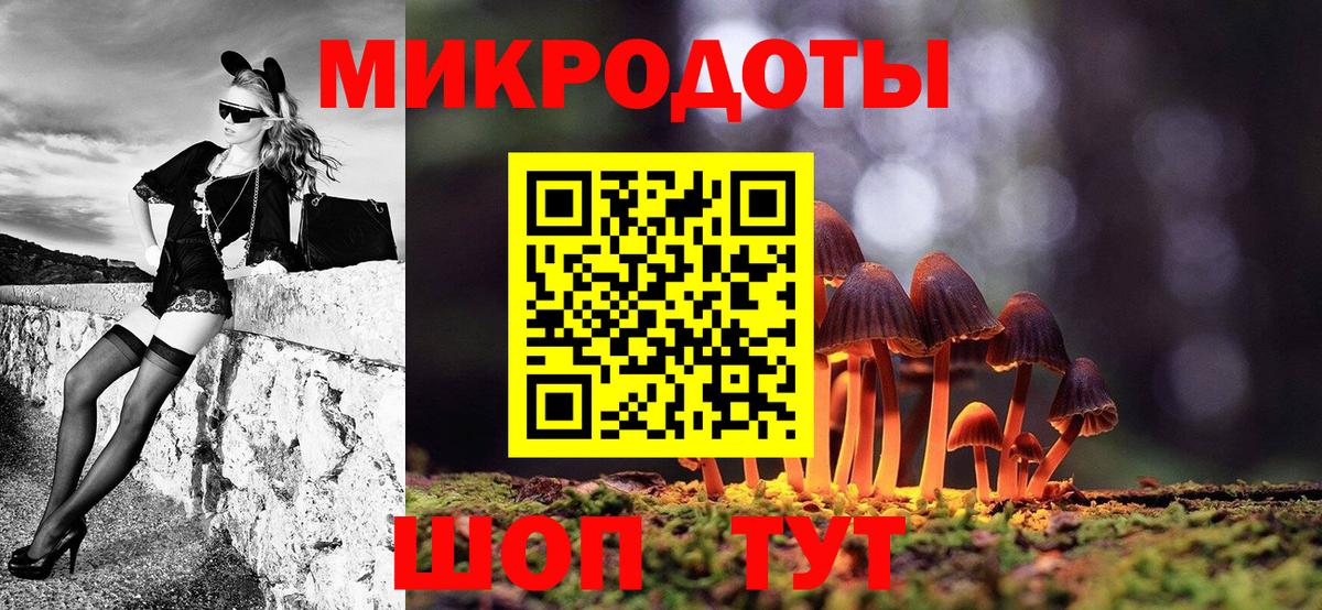 Галлюциногенные грибы Cubensis Грозный