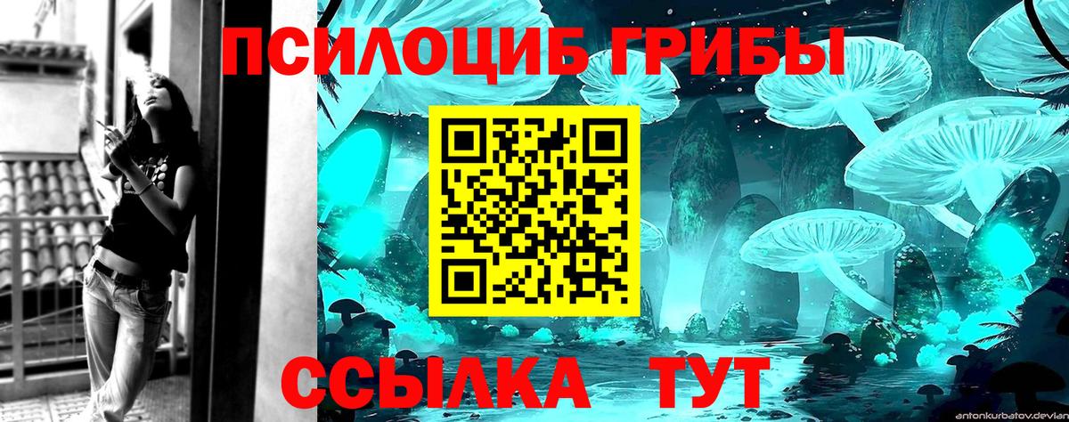Грозный  Галлюциногенные грибы Cubensis  Вход с VPN  Галлюциногенные грибы Psilocybe 