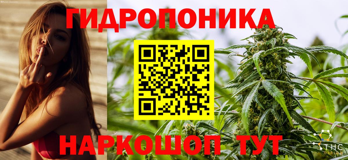 МАРИХУАНА индика Грозный